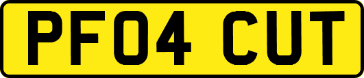 PF04CUT