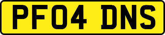PF04DNS