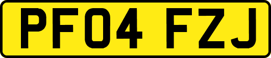 PF04FZJ