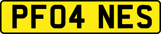 PF04NES