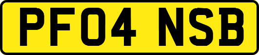 PF04NSB