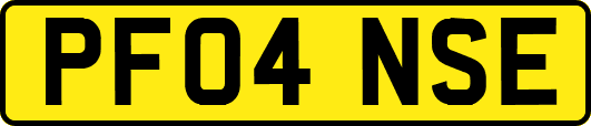 PF04NSE