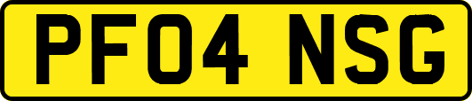 PF04NSG