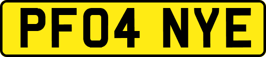 PF04NYE