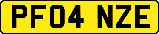 PF04NZE