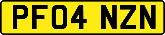 PF04NZN