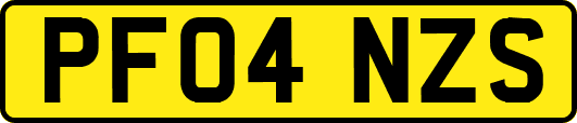 PF04NZS