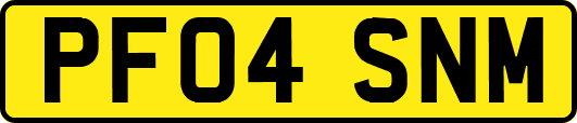 PF04SNM