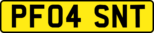 PF04SNT