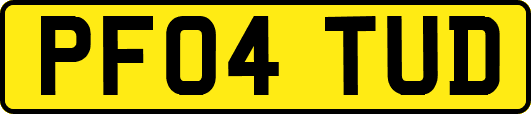 PF04TUD