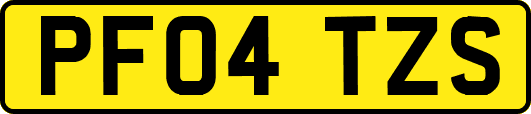 PF04TZS