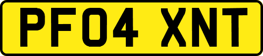 PF04XNT
