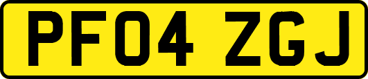PF04ZGJ