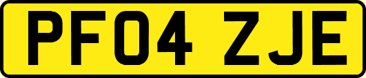 PF04ZJE