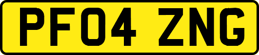 PF04ZNG