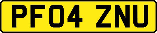 PF04ZNU