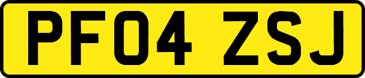 PF04ZSJ