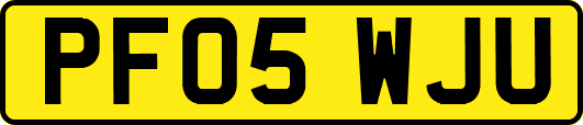 PF05WJU