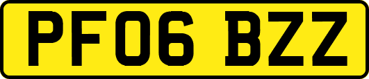 PF06BZZ