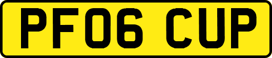 PF06CUP