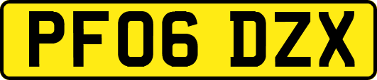 PF06DZX