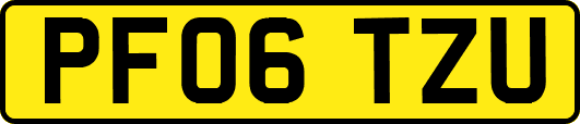 PF06TZU