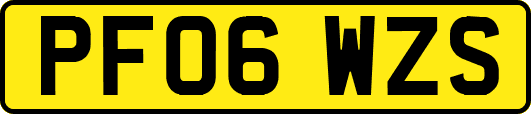 PF06WZS