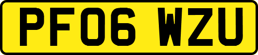 PF06WZU
