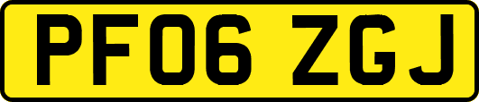 PF06ZGJ