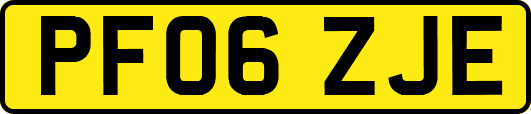 PF06ZJE