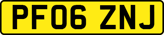 PF06ZNJ