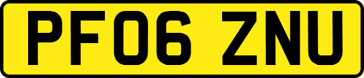 PF06ZNU