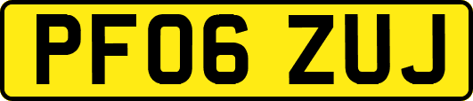PF06ZUJ