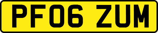 PF06ZUM