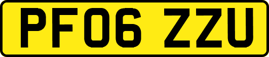 PF06ZZU