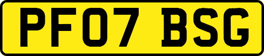 PF07BSG