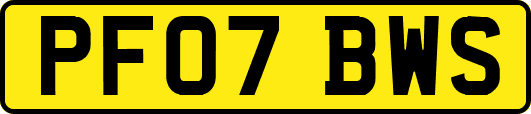 PF07BWS