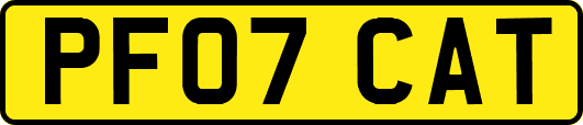 PF07CAT