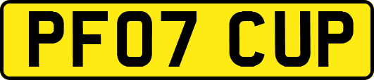 PF07CUP