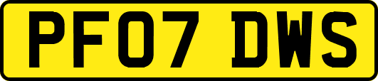 PF07DWS