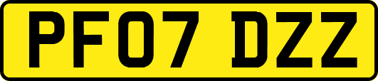 PF07DZZ