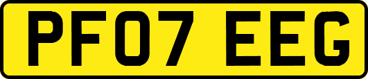 PF07EEG