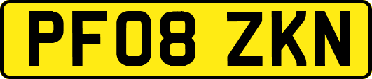 PF08ZKN