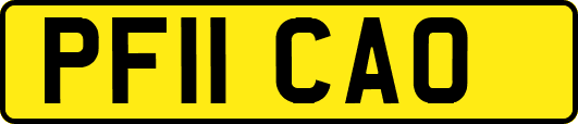 PF11CAO
