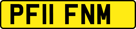 PF11FNM