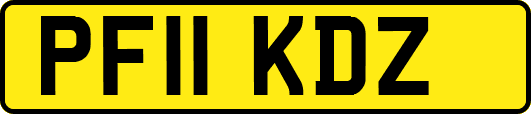 PF11KDZ