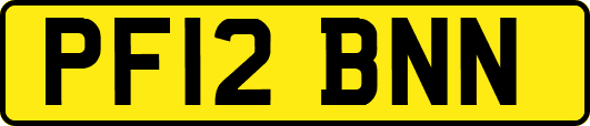 PF12BNN