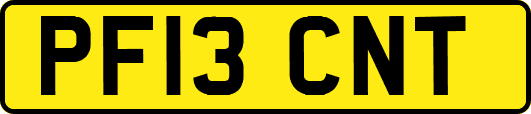 PF13CNT