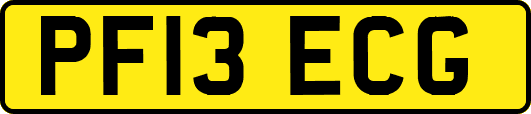 PF13ECG