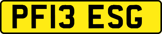 PF13ESG
